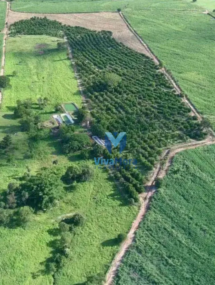 Sítio, 2 quartos, 19 hectares - Foto 4