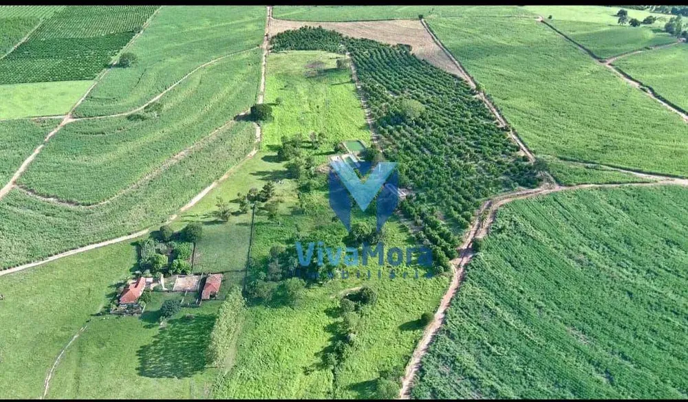 Sítio, 2 quartos, 19 hectares - Foto 1