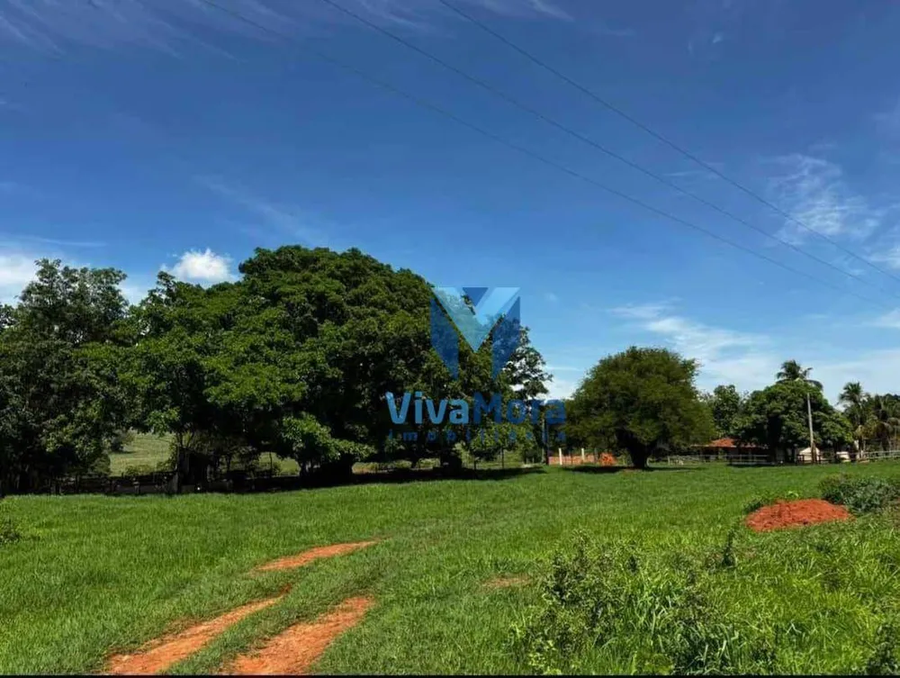 Sítio, 3 quartos, 15 hectares - Foto 3