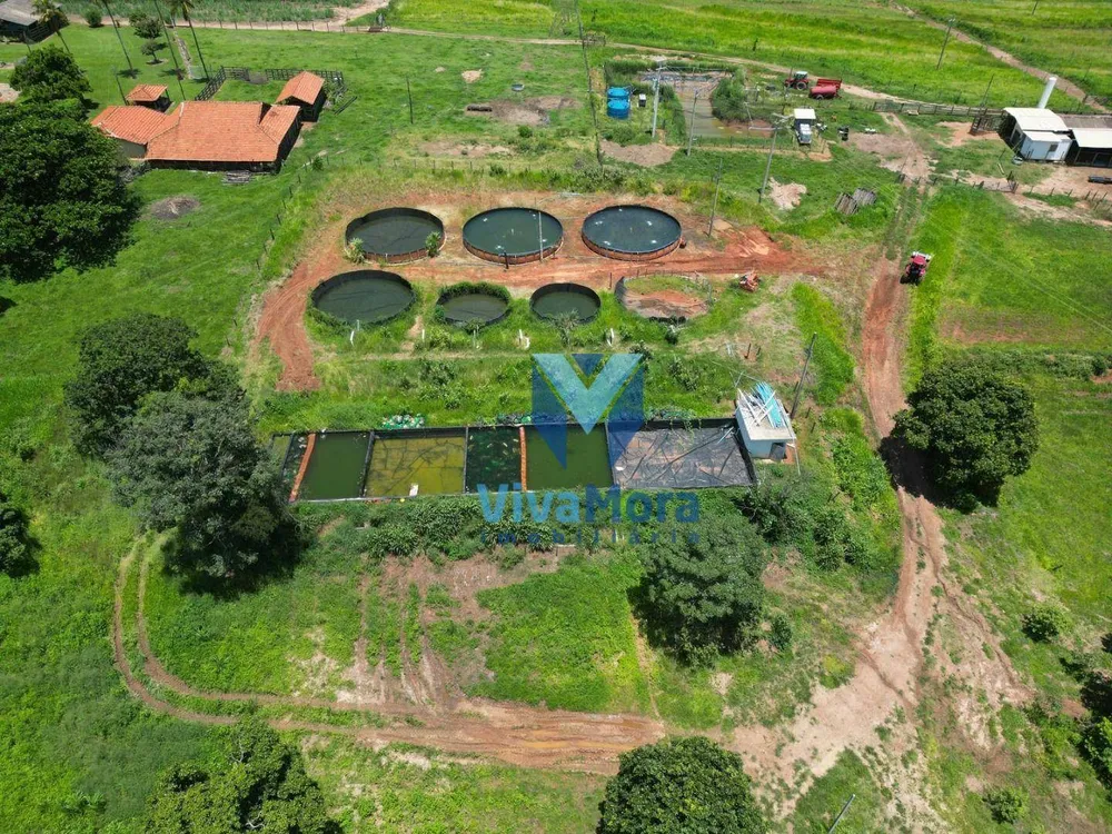 Sítio, 3 quartos, 48 hectares - Foto 5