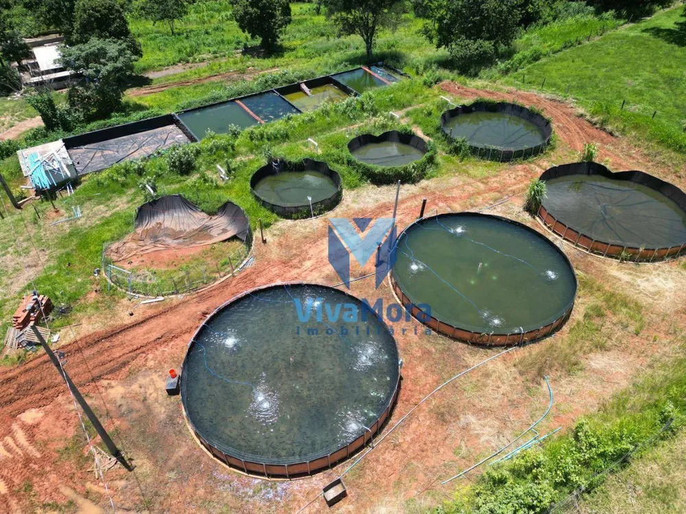 Sítio, 3 quartos, 48 hectares - Foto 2