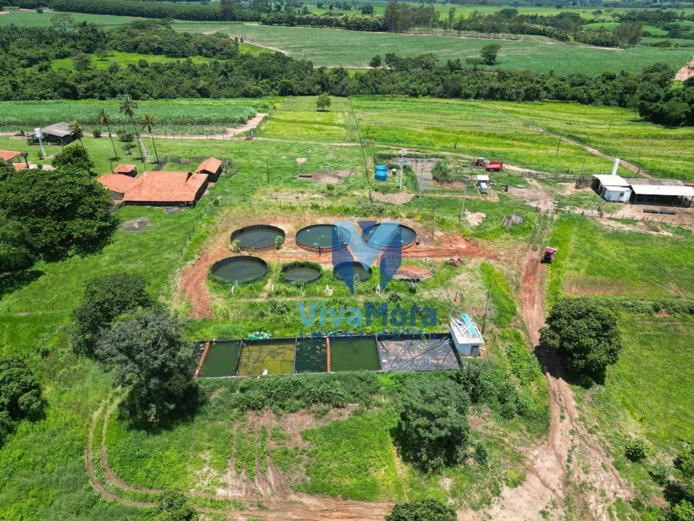 Sítio, 3 quartos, 48 hectares - Foto 7