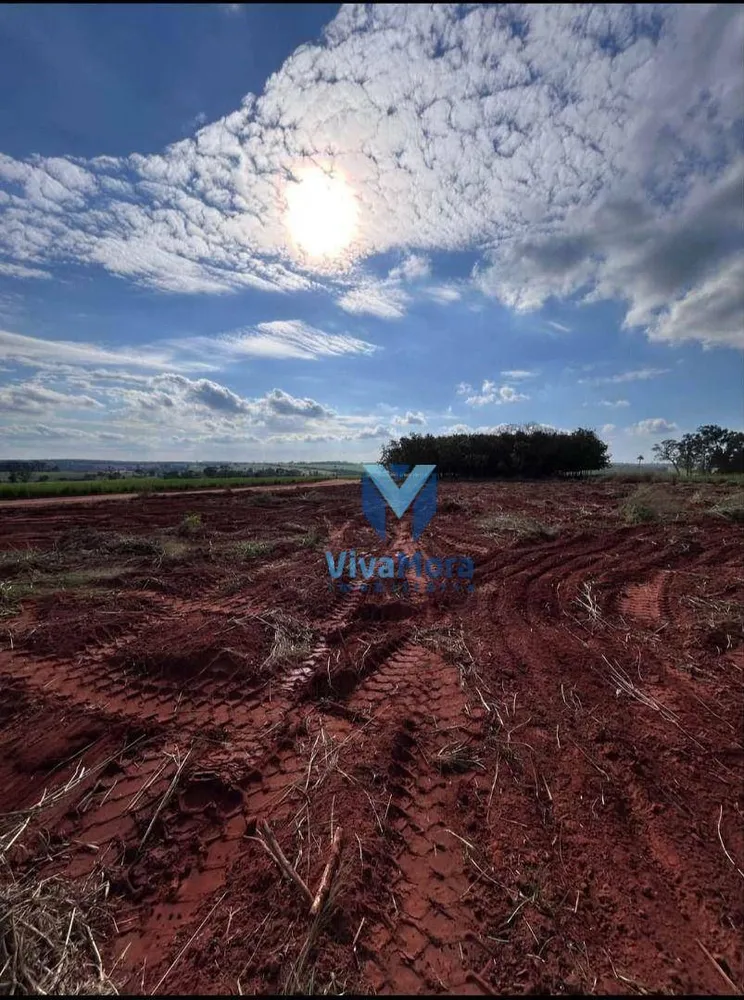 Terreno, 21 hectares - Foto 7