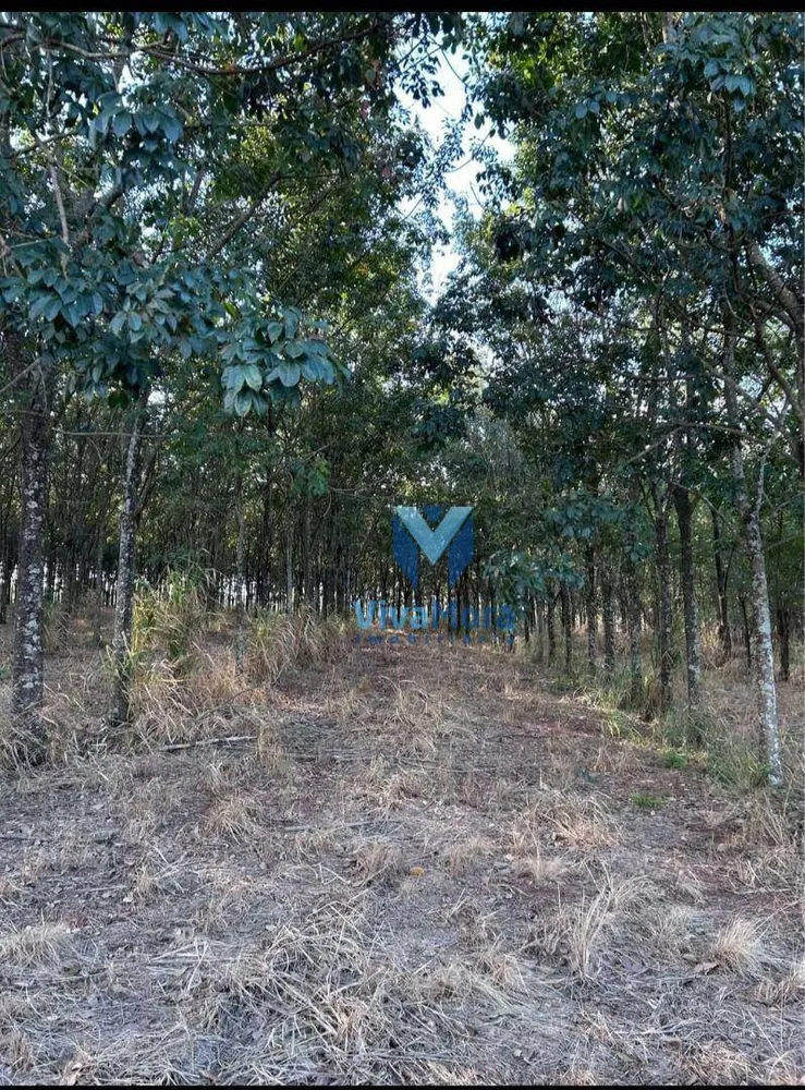 Terreno, 21 hectares - Foto 4