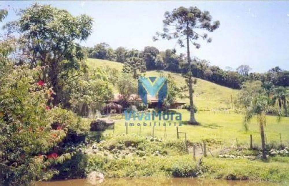 Fazenda, 242 hectares - Foto 2