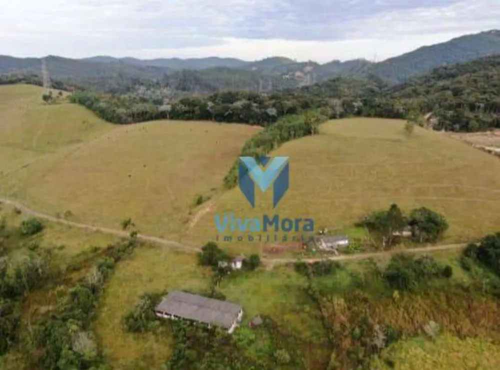 Fazenda, 242 hectares - Foto 14