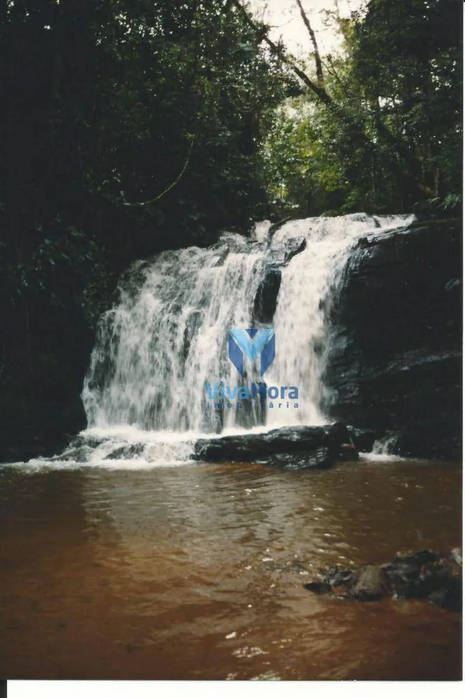 Fazenda, 242 hectares - Foto 6