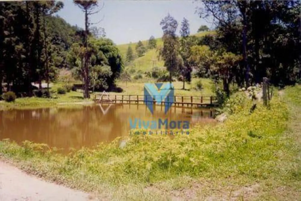 Fazenda, 242 hectares - Foto 8