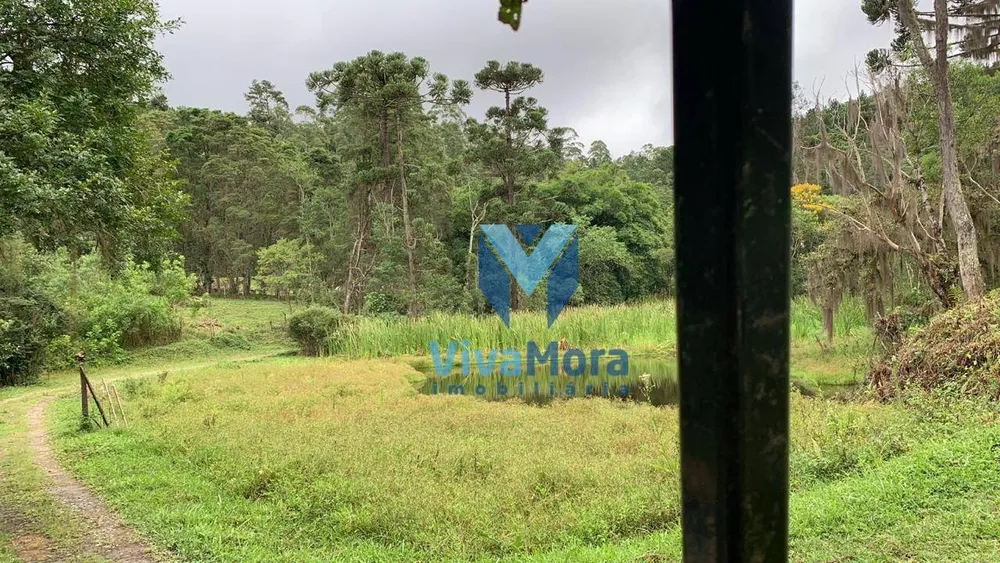 Fazenda, 242 hectares - Foto 15