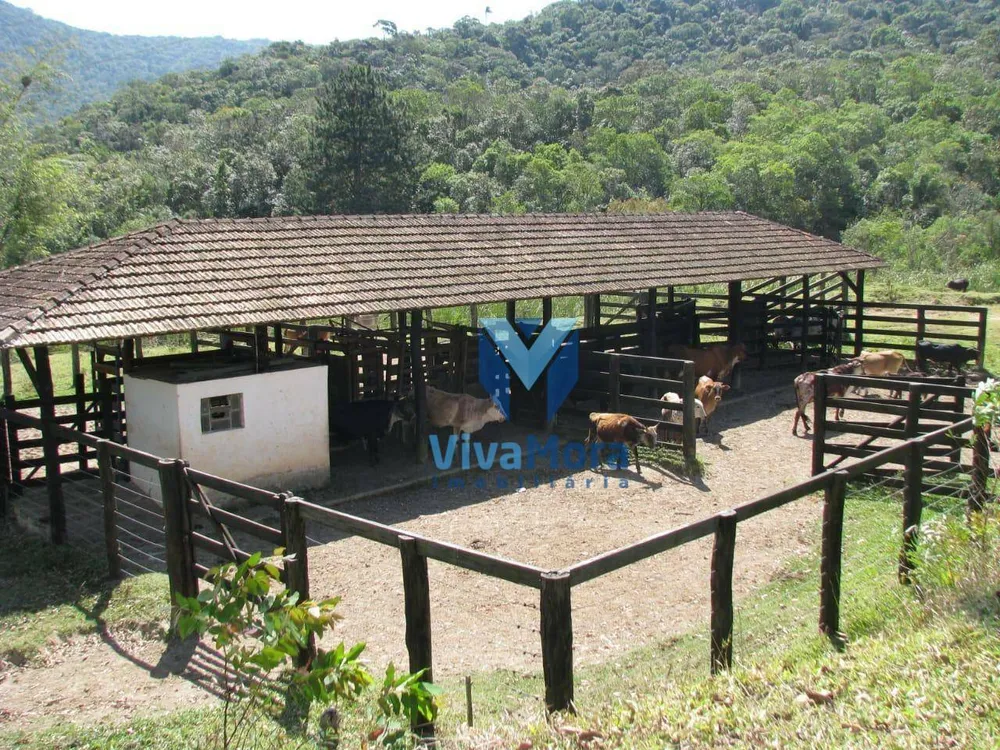 Fazenda, 242 hectares - Foto 11