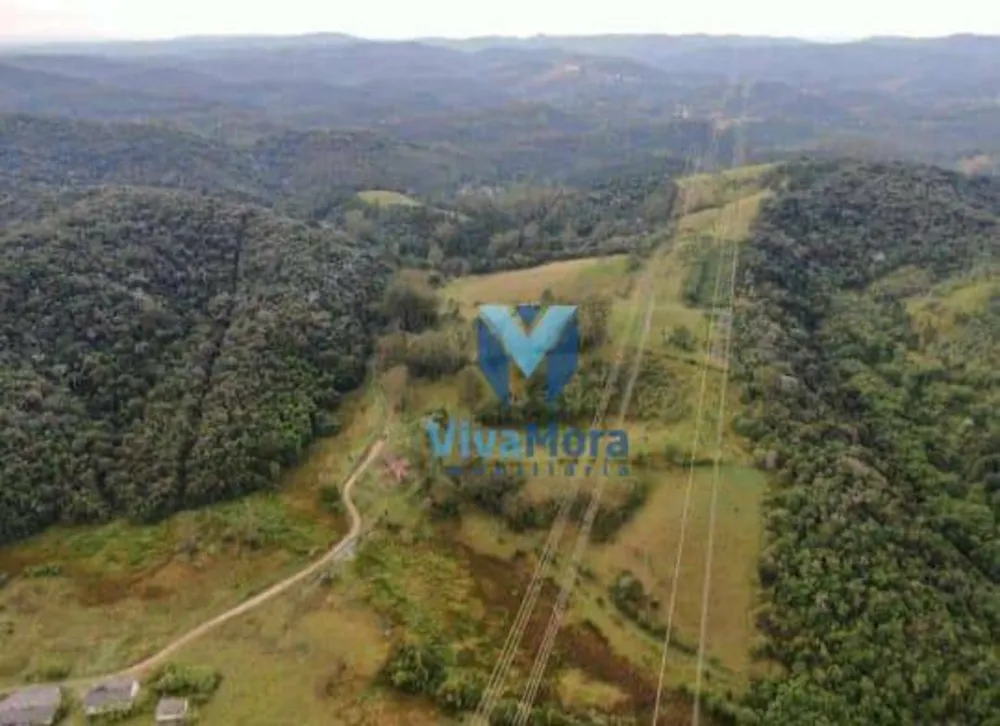 Fazenda, 242 hectares - Foto 13