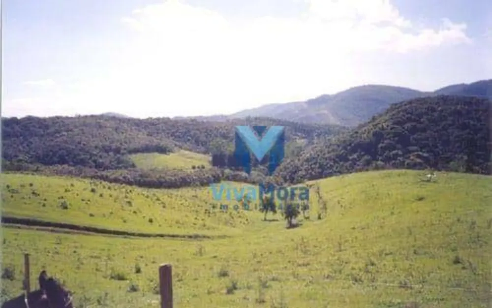 Fazenda, 242 hectares - Foto 4