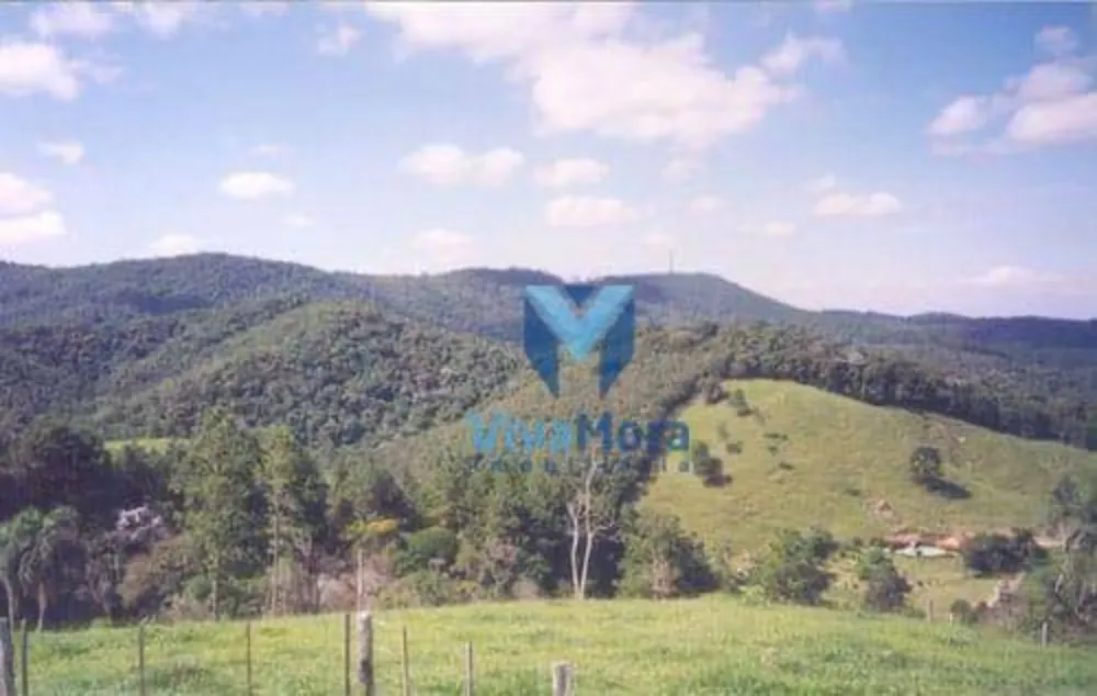 Fazenda, 242 hectares - Foto 3