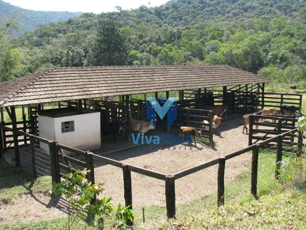Fazenda, 242 hectares - Foto 12