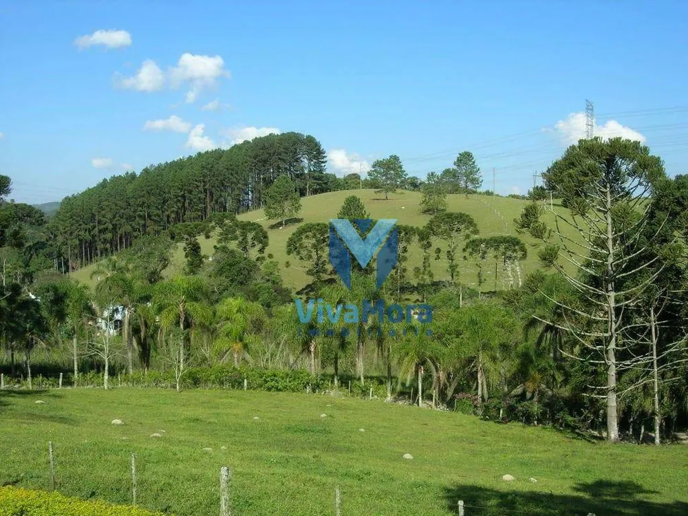 Fazenda, 242 hectares - Foto 9