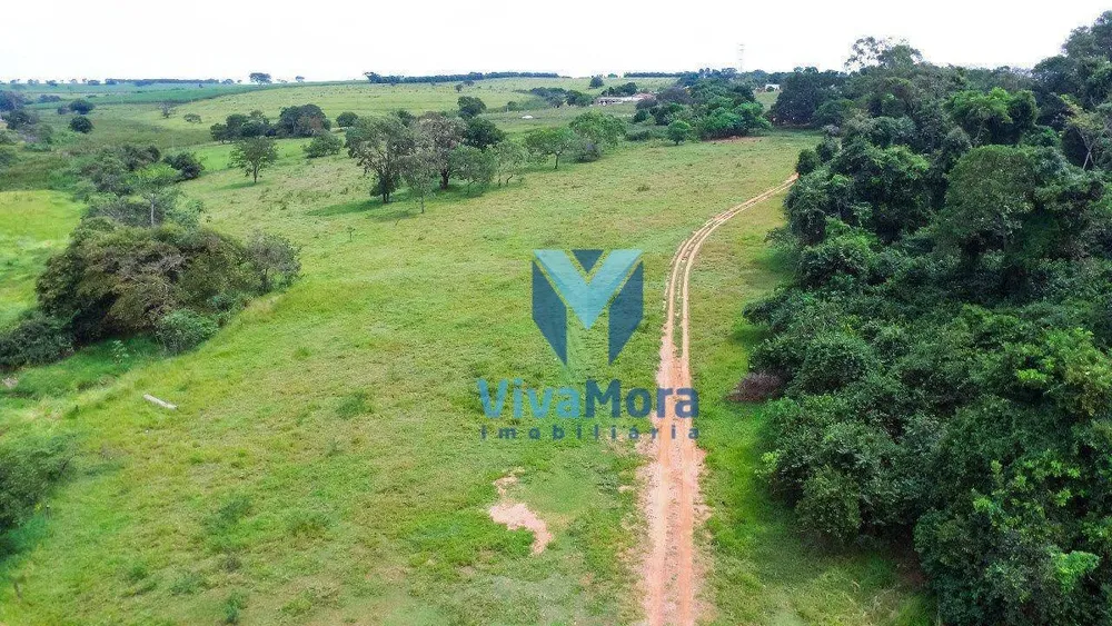 Terreno, 10 hectares - Foto 15