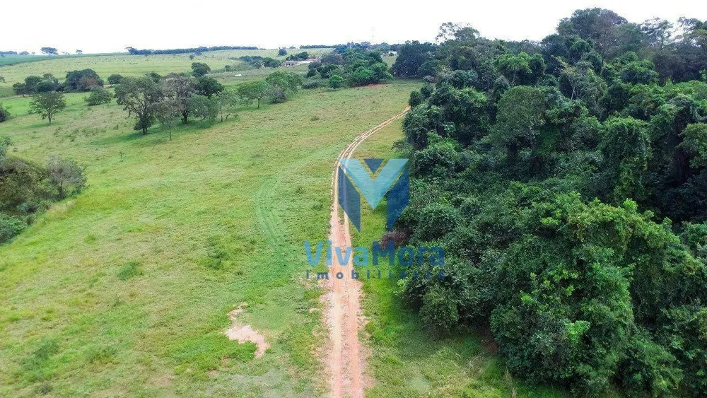 Terreno, 10 hectares - Foto 12