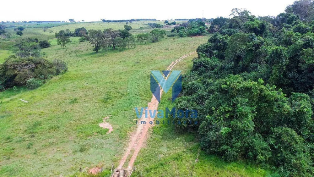 Terreno, 10 hectares - Foto 17