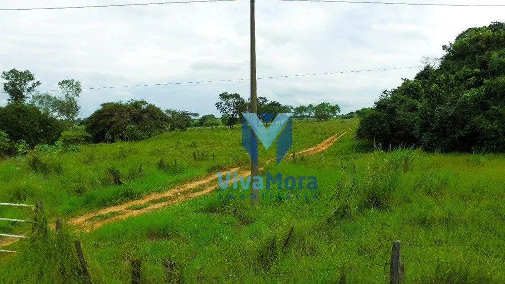 Terreno, 10 hectares - Foto 8