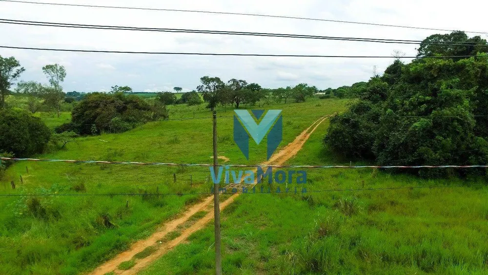 Terreno, 10 hectares - Foto 6