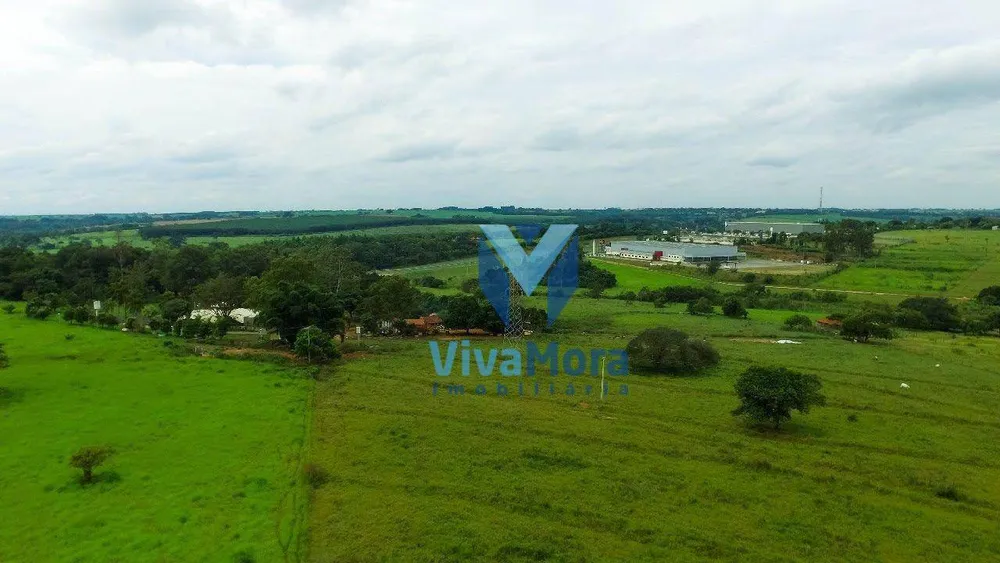 Terreno, 10 hectares - Foto 7