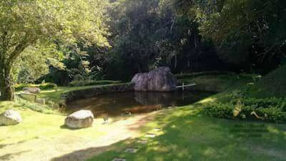 Chácara, 2 quartos, 5000 m² - Foto 7