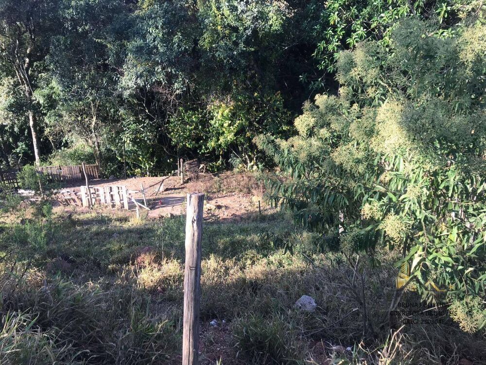 Terreno, 1170 m² - Foto 5