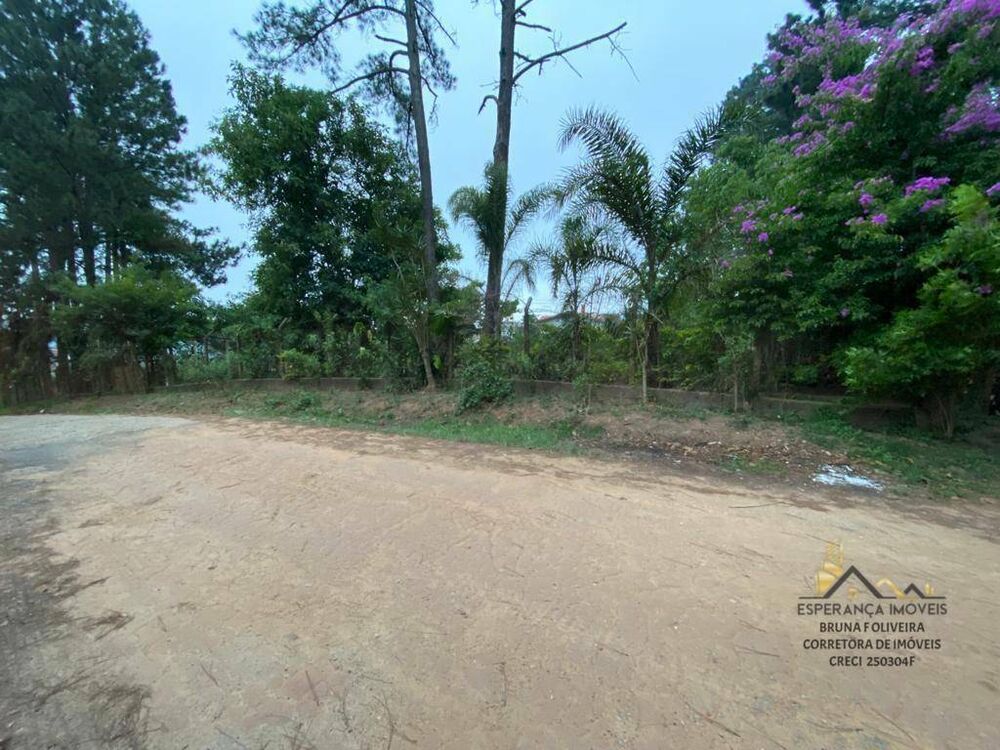 Terreno, 250 m² - Foto 2