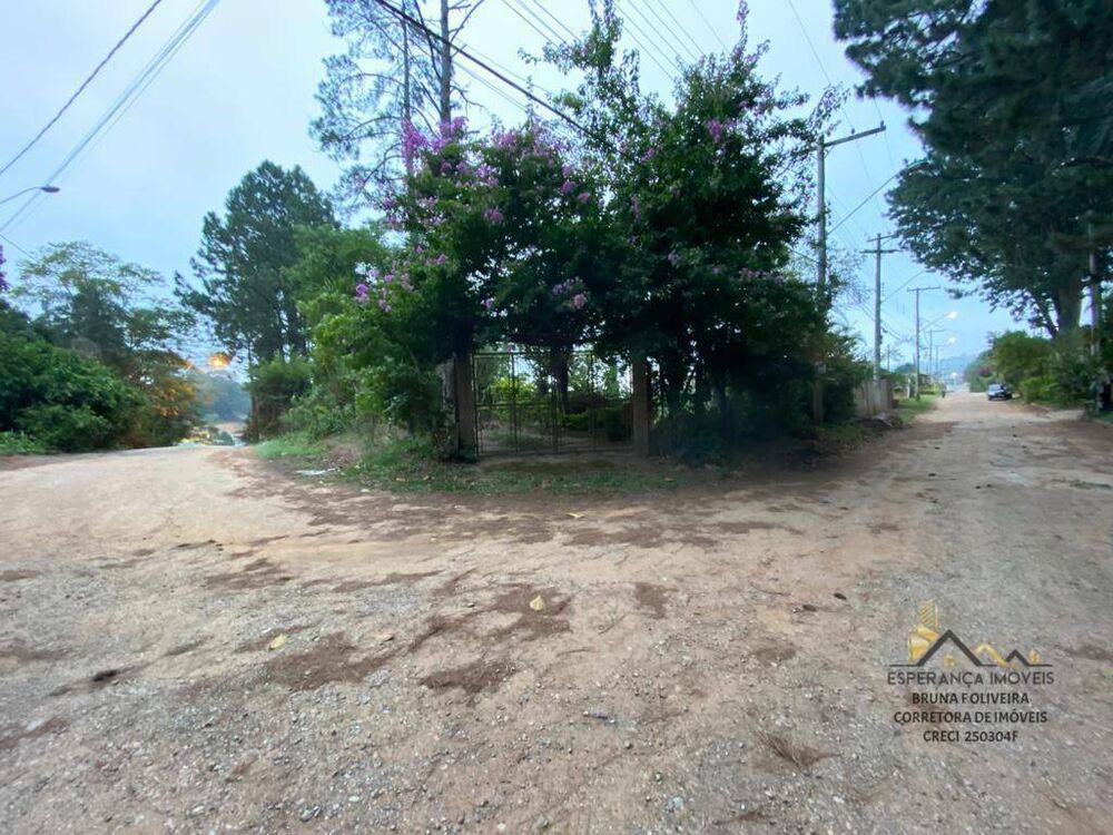 Terreno, 250 m² - Foto 3