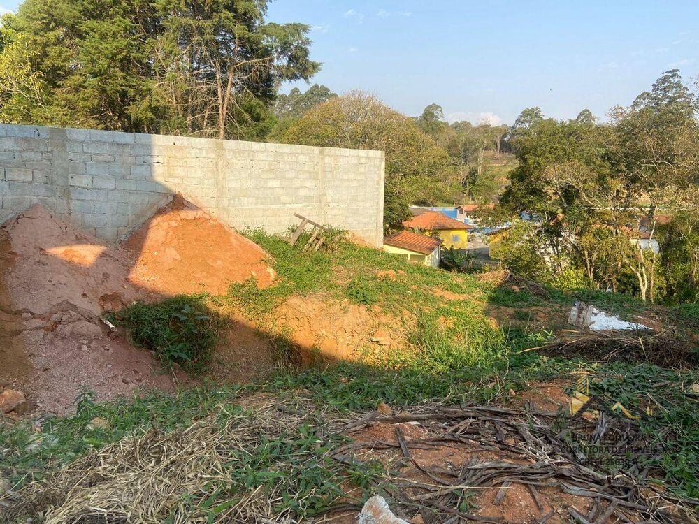 Chácara, 3 quartos, 330 m² - Foto 6