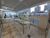 Cobertura, 4 quartos, 307 m² - Foto 3