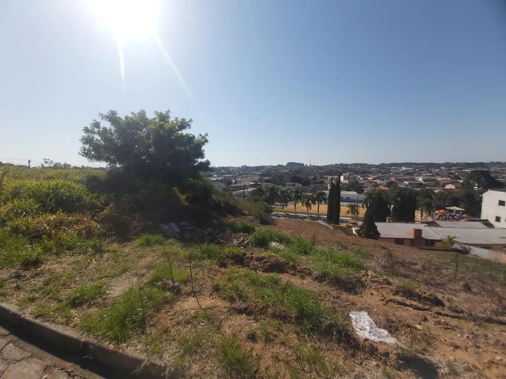 Terreno, 390 m² - Foto 11