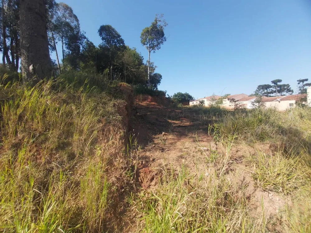 Terreno, 954 m² - Foto 8