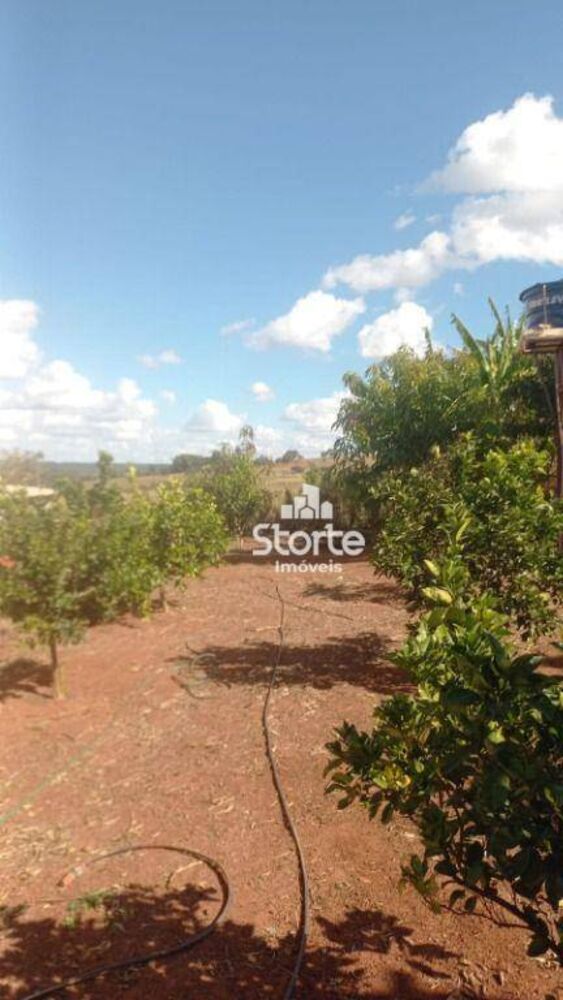 Chácara, 1 quarto, 2000 m² - Foto 3