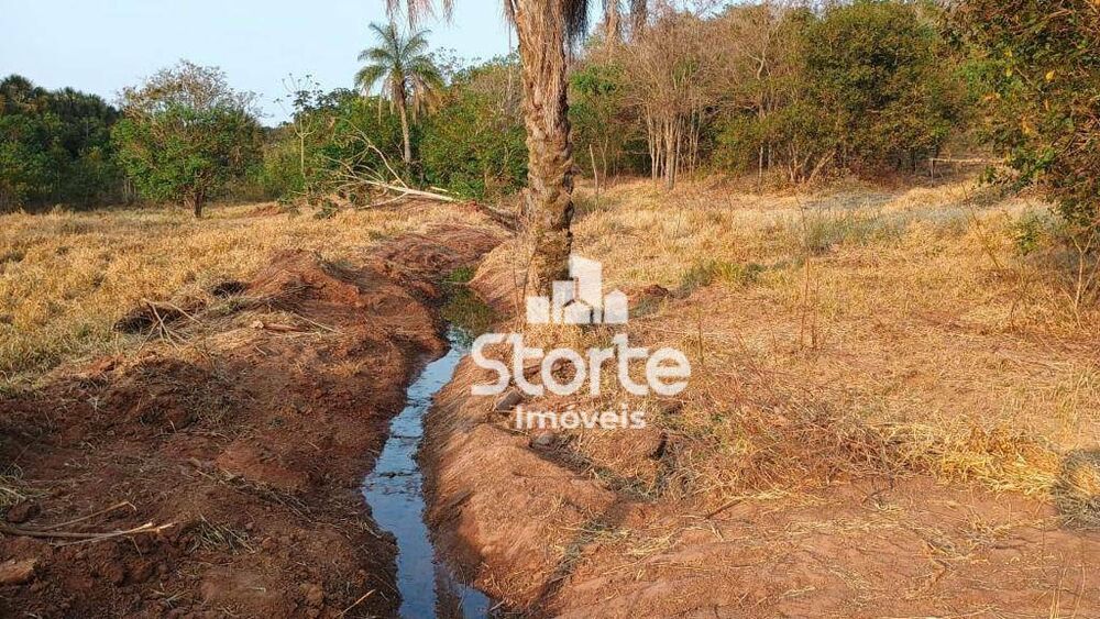 Chácara, 2 hectares - Foto 2