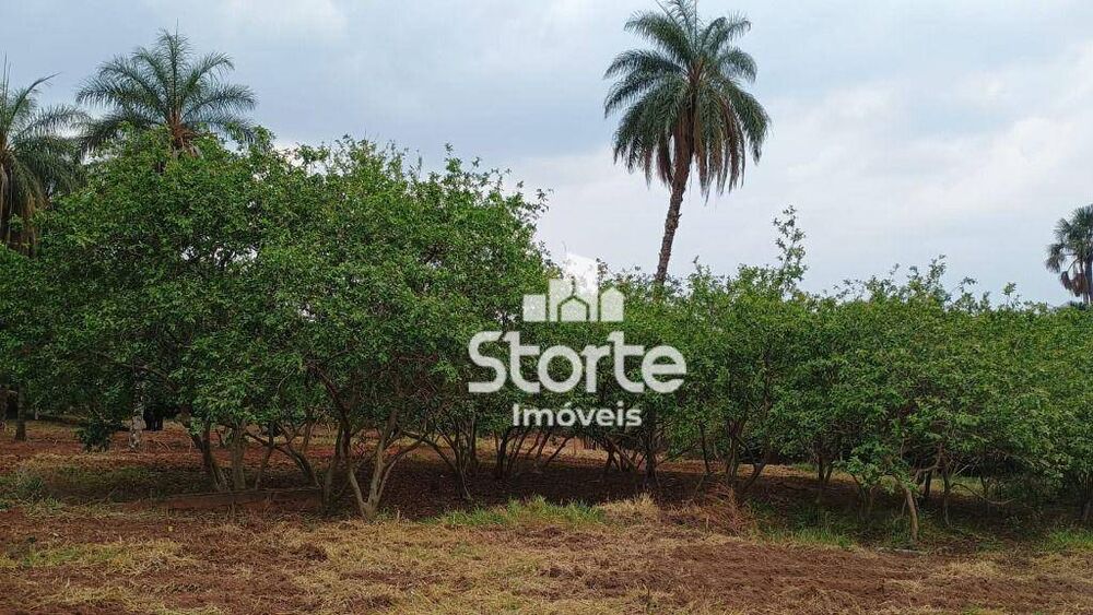 Chácara, 2 hectares - Foto 10