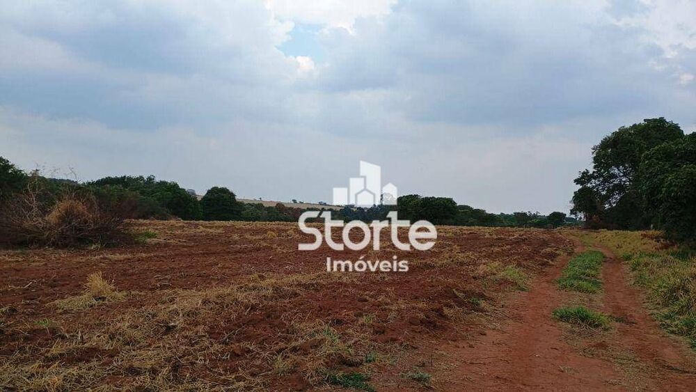 Chácara, 2 hectares - Foto 5