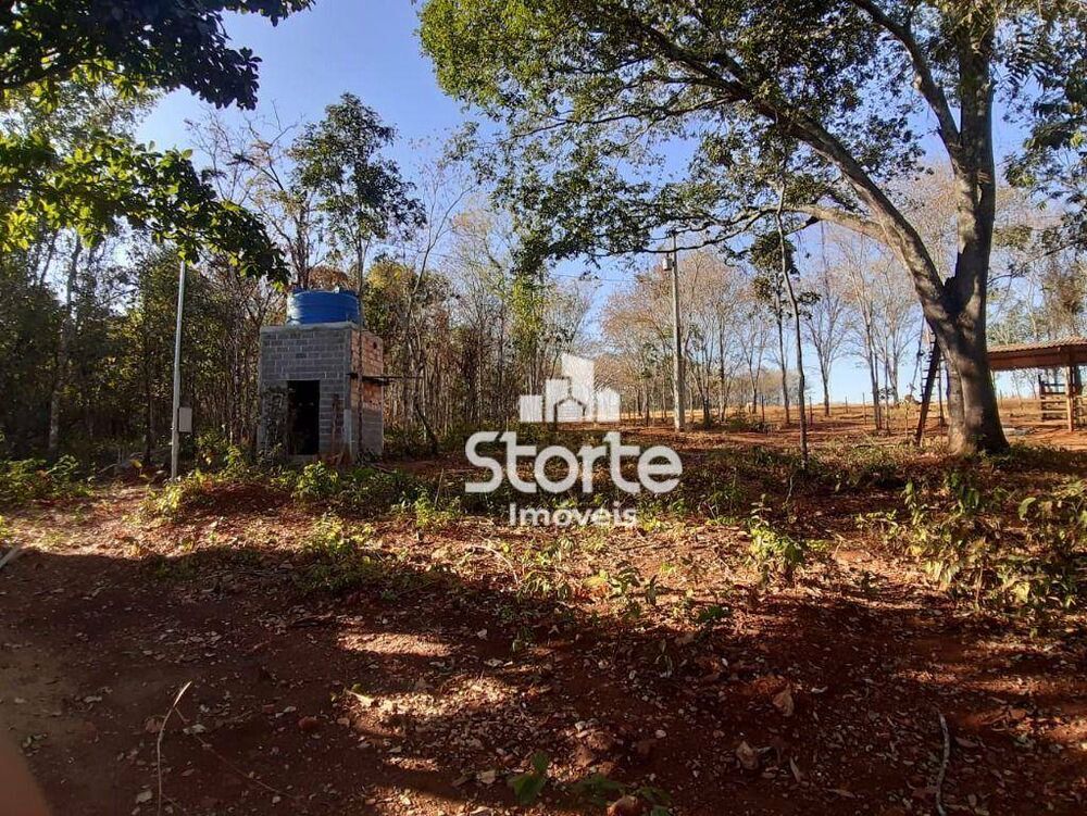 Chácara à venda com 2 quartos, 129000M2 - Foto 4