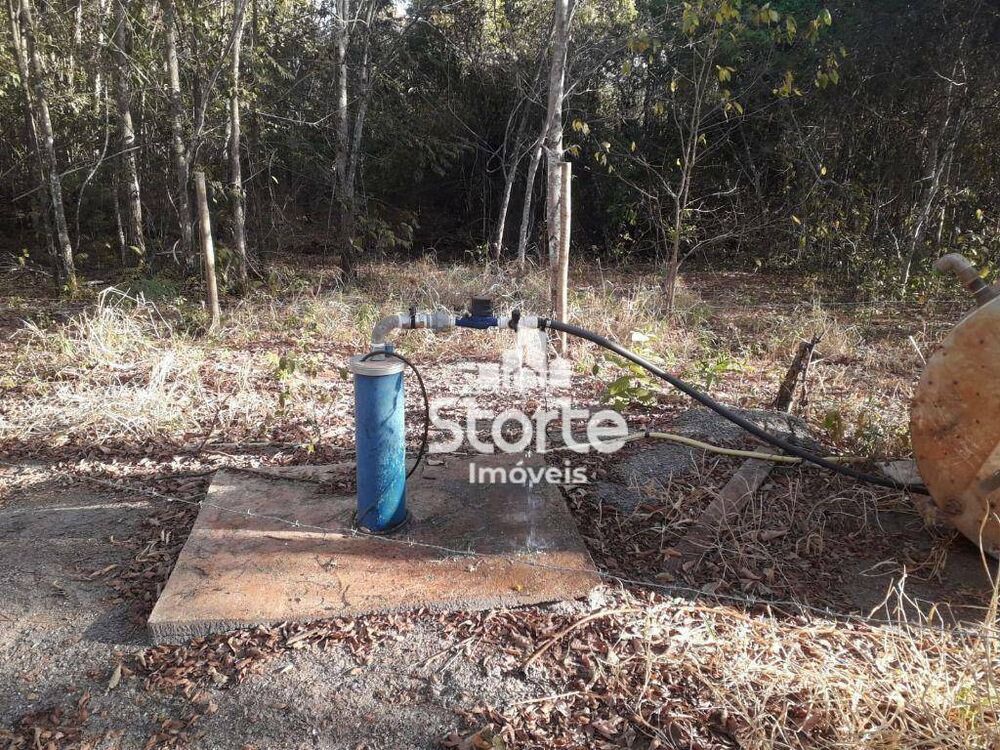 Chácara à venda com 2 quartos, 129000M2 - Foto 13