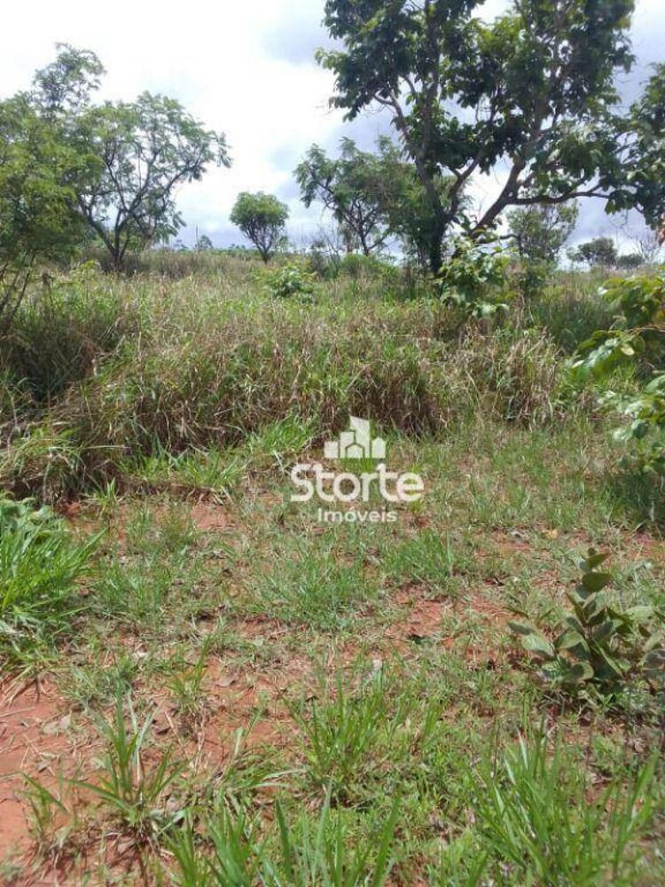 Chácara à venda, 2000M2 - Foto 6