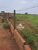 Sítio, 19 hectares - Foto 4