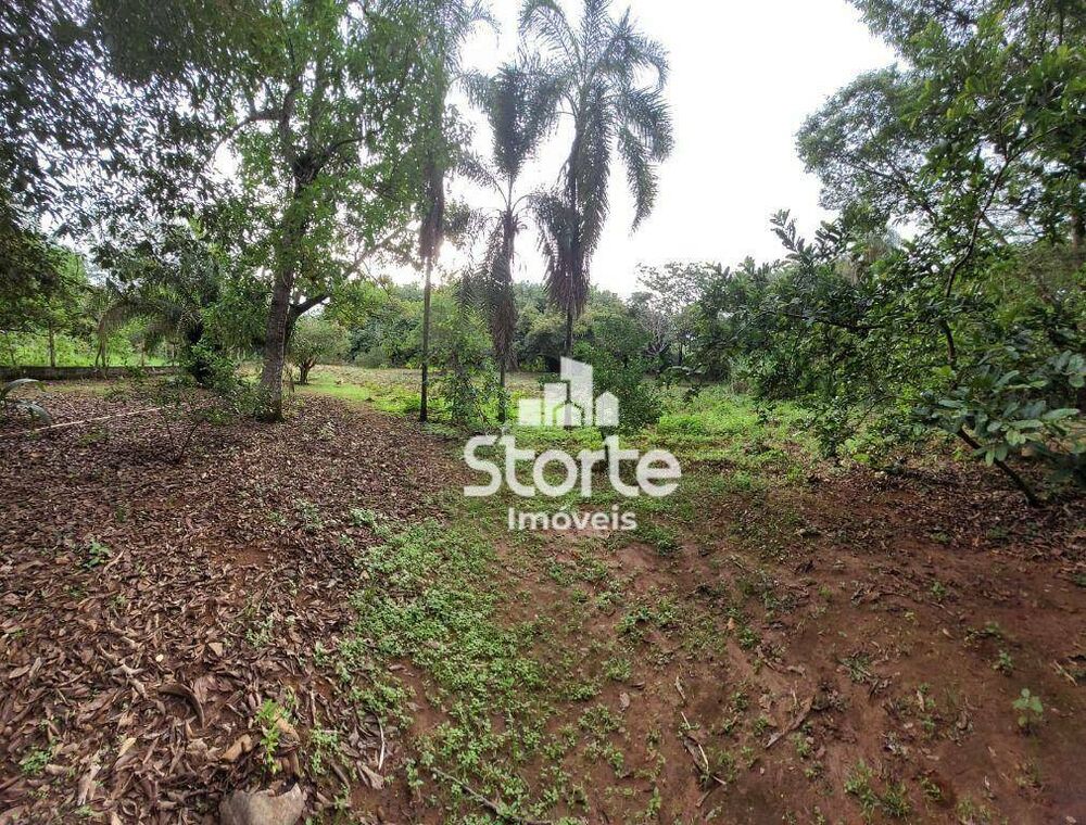 Chácara, 3 quartos, 5700 m² - Foto 3