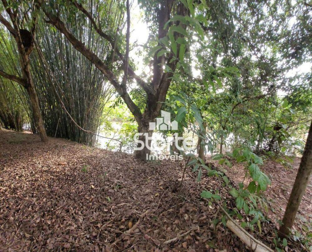 Chácara, 3 quartos, 5700 m² - Foto 4