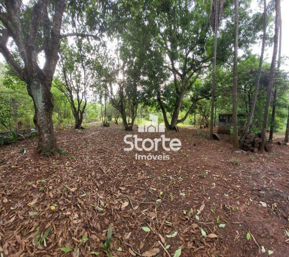 Chácara, 3 quartos, 5700 m² - Foto 1