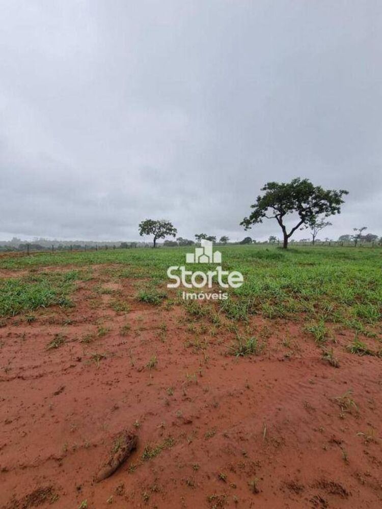 Chácara, 6666 m² - Foto 3