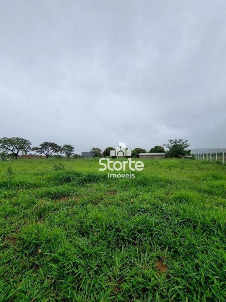 Chácara, 6666 m² - Foto 2