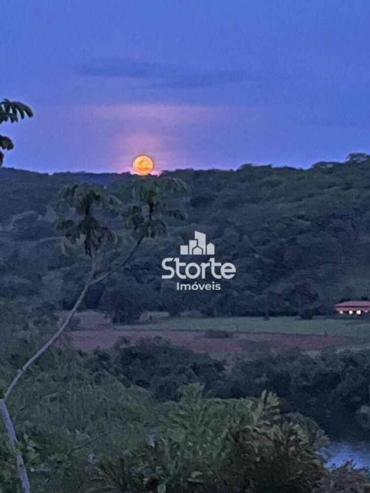Sítio, 5 hectares - Foto 3