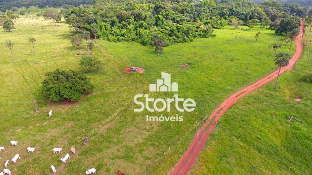 Fazenda, 305 hectares - Foto 2