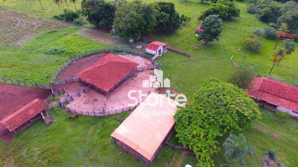 Fazenda, 305 hectares - Foto 1