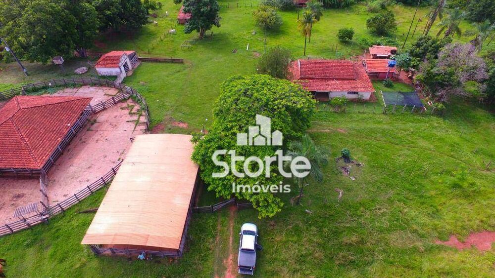 Fazenda, 305 hectares - Foto 3